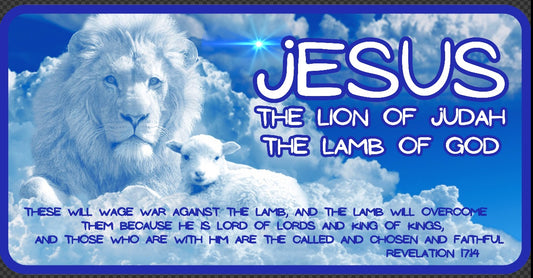 THE LION & THE LAMB Heavy Weight Patriotic Christian Long Sleeve T-Shirt (S-2XL): Women's Gildan 2400 - FREE SHIPPING