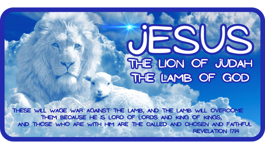 ..THE LION & THE LAMB: 22oz Copper Vacuum Insulated Patriotic Water Bottle - FREE SHIPPING