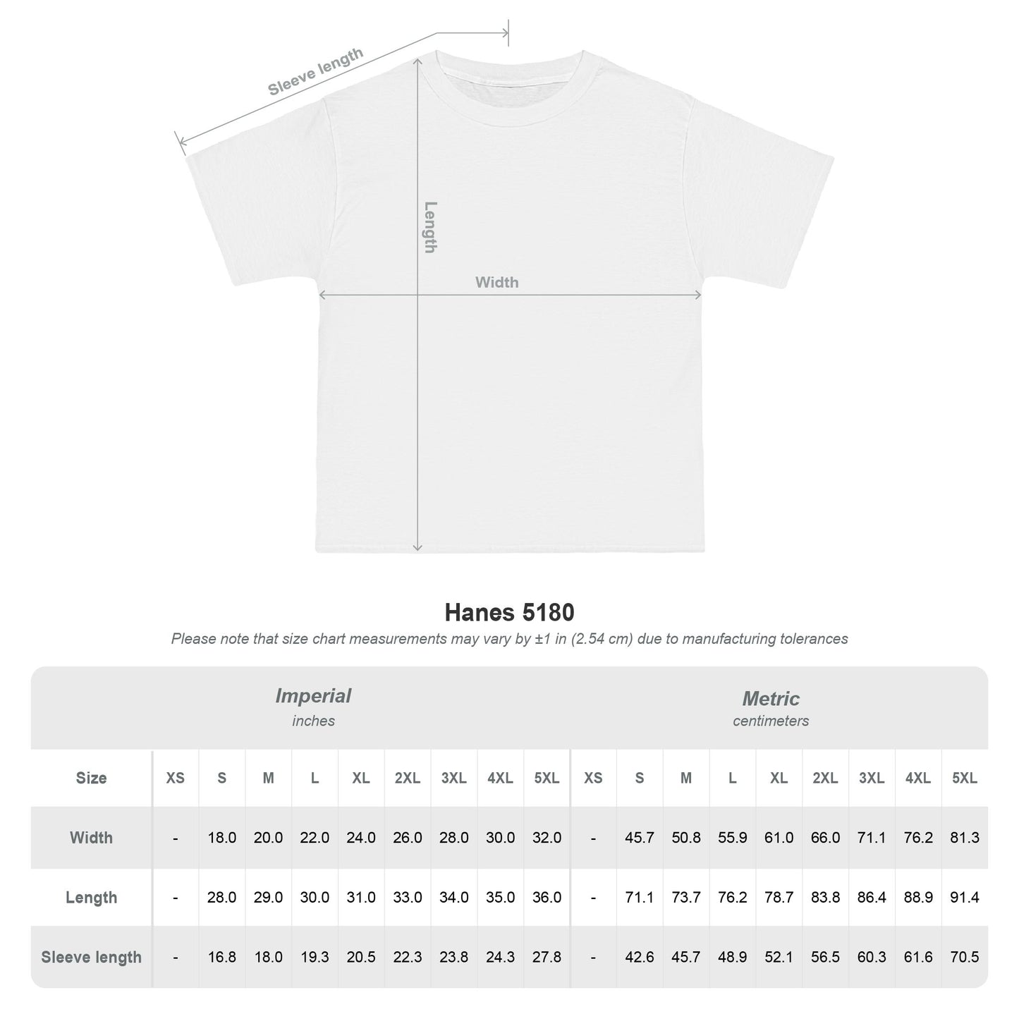 . PRAYER WARRIOR Plus Size Heavy Weight Christian T-Shirt (S-5XL):  Men's Hanes Beefy-T®