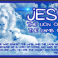 THE LION & THE LAMB Heavy Weight Patriotic Christian Long Sleeve T-Shirt (S-2XL):  Women's Gildan 2400 - FREE SHIPPING