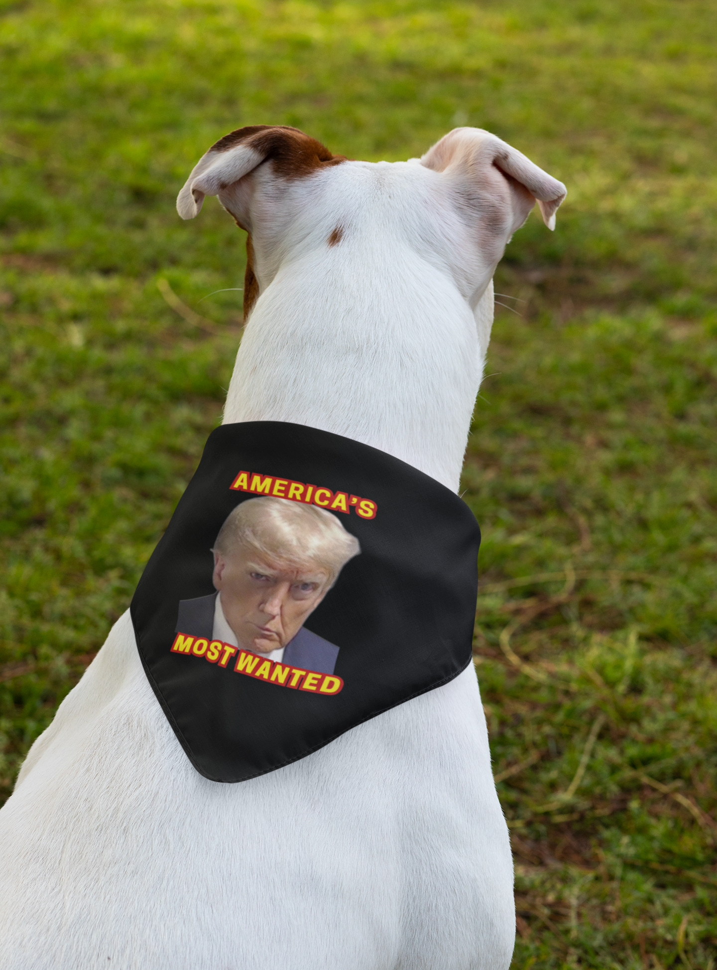 TRUMP MUG SHOT - Medium Dog Bandana (Collar Size 12-20"  Weight 26-55lbs) - FREE SHIPPING